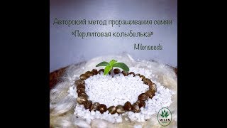 Метод проращивания семян конопли "ПЕРЛИТОВАЯ КОЛЫБЕЛЬКА"