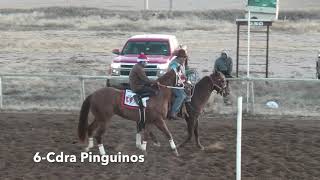 Cdra Brito vs Cdra Pinguinos vs Cdra Soletario vs Cdra Parra a 250 Yardas
