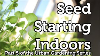 Starting and Growing your own Seedlings indoors