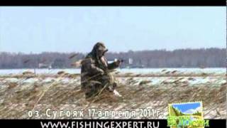 Видео отчет о рыбалке 18 апреля 2011 Сугояк окунь