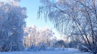 Фредерик Шопен. Вальс № 7. Зима.