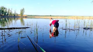 Рыбалка в камыше ЗАКИНУЛИ ПРИКОРМКУ И НАЧАЛОСЬ ПОЛЕЗ ЗА САЗАНОМ