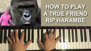 HOW TO PLAY - FILTHY FRANK - "A TRUE FRIEND" - HARAMBE TRIBUTE SONG (Piano Tutorial Lesson)