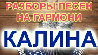 РАЗБОРЫ! Как играть и петь песню Ой калина!