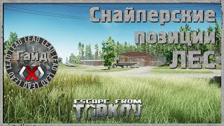 Гайд по Escape from Tarkov - Снайперские позиции Лес