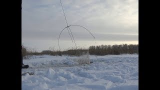 На подъемник-паук или на удочку, на что можно поймать больше ротанов!! Очищаем водоем от ротана!