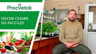 Подготовка семян к посеву. Секреты высокой всхожести и обильных урожаев.
