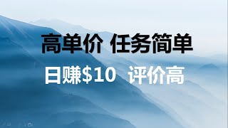 海外网赚：高单价的平台调查，任务简单，第二职业保底薪水必备Online earning survey money making platform