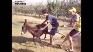 جديد موت ديال الضحك 2016  mout dyal dahk