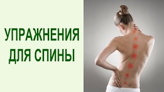 Полный комплекс упражнений ПИЛАТЕС для позвоночника и спины в домашних условиях. Yogalife
