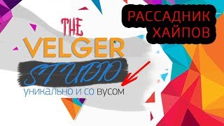 Что такое финансовая пирамида или ХАЙП проект (уничтожаю Velger)– ЧЁРНЫЙ СПИСОК #46