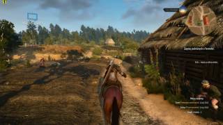 The Witcher 3 - ASUS GTX 1070 StriX Gaming - Ultra Settings ( Hairworks ON)