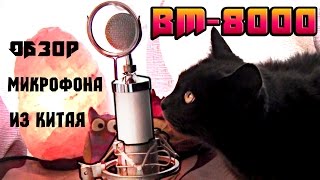 Обзор микрофона BM-8000