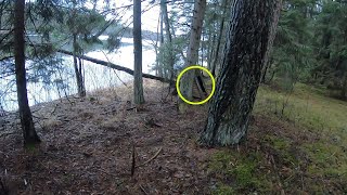 Что он тут делает у озера? Коп на лесном пляже и находки на металлоискатель.