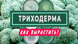 ТРИХОДЕРМА своими руками. Почему, зачем, как