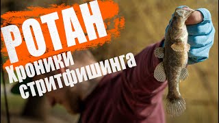 Спиннинг в запрет. Ловля ротана на спиннинг.