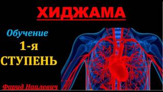 Курсы хиджамы 1 я ступень  Обучение хиджаме alhajam.ru