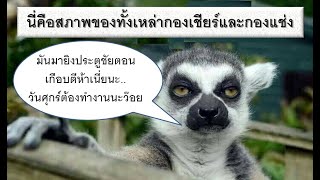 ควบหลังเกม+เก็บตกจากเกมบุกไปเก็บ 3 แต้มจากวูล์ฟ WOL 1-2 LIV บอกเลยว่ากรูตายยากว๊อย..ซินแสเกินร้อย
