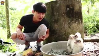 Hậu Cáo Vlogs | Thử Cho Chim Cú Lợn Ăn 4KG Thịt Gà | Hậu Cáo Cho Chim Lợn Ăn Thịt Gà Khủng 4kg