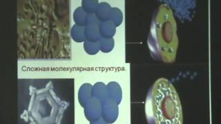 Лекция "Заболевания сердечно-сосудистой системы" Колмыковой Елены