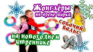 Жонглёры на арене цирка. Собачий вальс.  Новогодний утренник ЦИРК-6 в дет/саду
