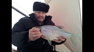 Курма. Угольный. Лещ.