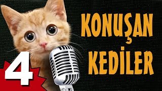 Konuşan Kediler 4 - En Komik Kedi Videoları
