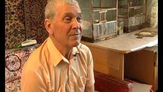 канарейки: содержание в домашних условиях . Все О Домашних Животных.