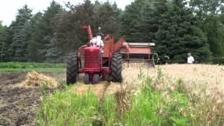 Time-Lapse, Wheat Harvest with Allis-Chalmers All-Crop Harvester
