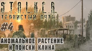 STALKER Тернистый Путь (Thorny Way) Поиски Клина и Аномальное растение #4 #ForastPlay