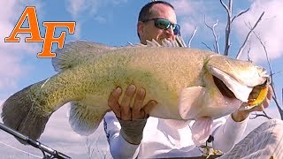 Cool Surface Strikes and Monster Murray Cod fishing EP.376