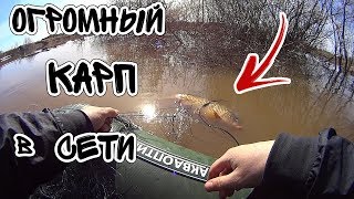 Браконьеры Оборзели. АнтиБрак 2019 Пермский край Антибрак 2020