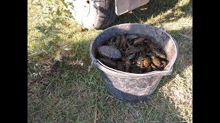 За раком!