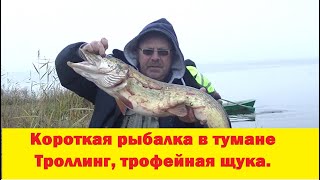 Короткая рыбалка на троллинг в туман. Выходы хищника. Трофейная щука.