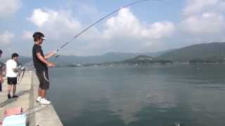 ｼﾘｰｽﾞ浜名湖30　クロダイのウキフカセ釣り