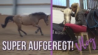 SUPER AUFGEREGT | VLOG