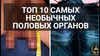 10 Человек со Странными Половыми Органами