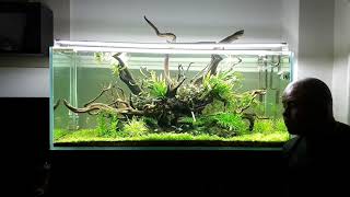 Aquascape 300 liters. Аквариум. Акваскейп 300л