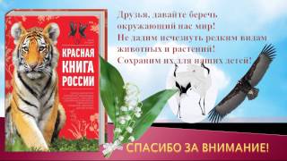 Презентация "Красная Книга или возьмем под защиту"