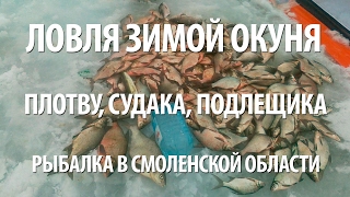 РЫБАЛКА в СМОЛЕНСКОЙ ОБЛАСТИ ЗИМОЙ на ЯУЗСКОМ ВОДОХРАНИЛИЩЕ