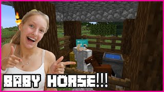 GETTING A CUTEST BABY HORSE!!!
