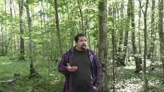 Ошибки на пути к счастью