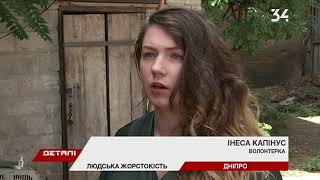Хозяин-живодер требует вернуть ему собаку, которую увезли на лечение в Днепр