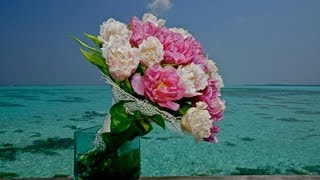 Лазурное счастье.. - Azure happiness ..