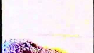 zahle war القوات اللبنانية - الشعبة الخامسة - معركة زحله 1