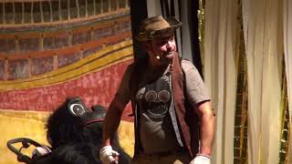 Fasnachtsclub Felsenland Fischbach bei Dahn Prunksitzung 10.2.2018 Teil 47