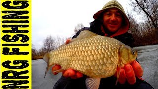 ОГРОМНЫЕ КАРАСИ РВУТ МОРМЫШКИ И ВОРУЮТ УДОЧКИ!!!