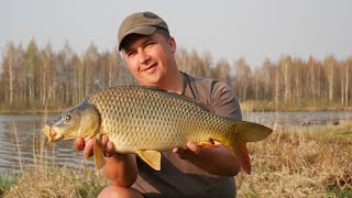 ГДЕ ЛОВИТЬ  КАРПА РАННЕЙ ВЕСНОЙ?! ТАКТИКА ловли по холодной воде!