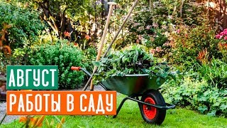 Основные работы в саду в августе ⚡ ОБЯЗАТЕЛЬНО СДЕЛАЙТЕ ЭТО!!! / Садовый гид