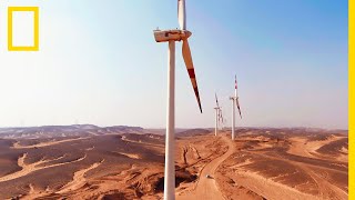 Voici le plus grand parc éolien du Moyen-Orient